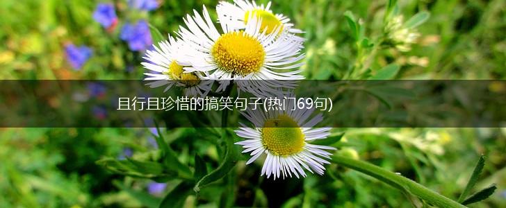 且行且珍惜的搞笑句子(热门69句),第1张