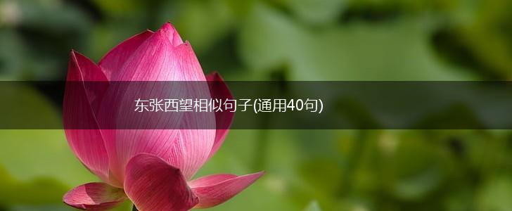东张西望相似句子(通用40句),第1张