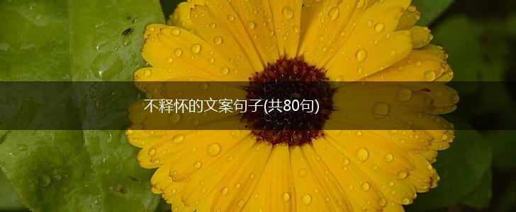 不释怀的文案句子(共80句),第1张