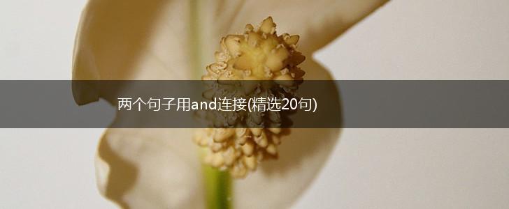 两个句子用and连接(精选20句),第1张