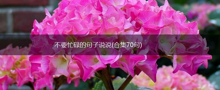 不要忙碌的句子说说(合集70句),第1张