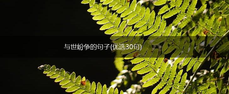 与世纷争的句子(优选30句),第1张