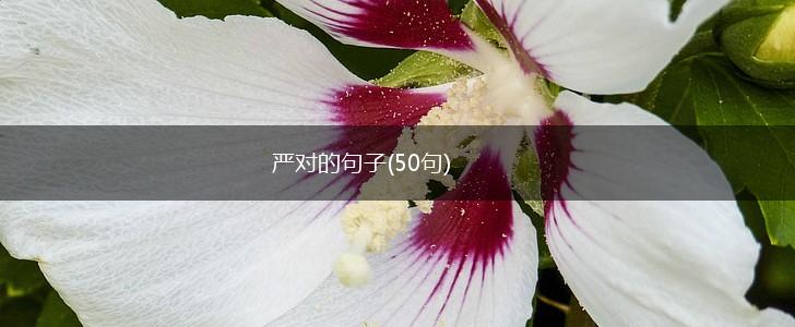 严对的句子(50句),第1张