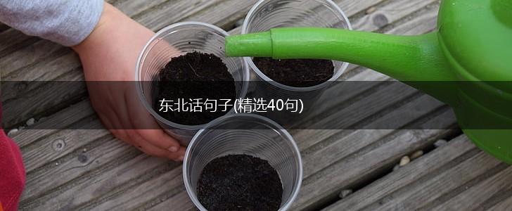 东北话句子(精选40句),第1张
