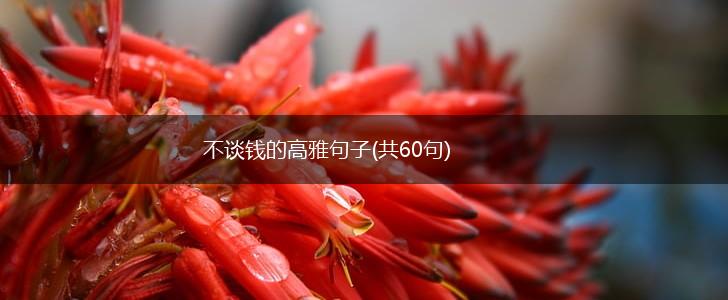 不谈钱的高雅句子(共60句),第1张