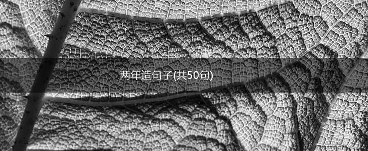 两年造句子(共50句),第1张