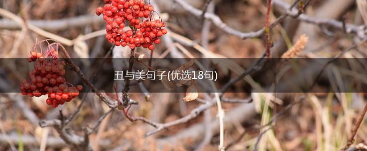 丑与美句子(优选18句),第1张