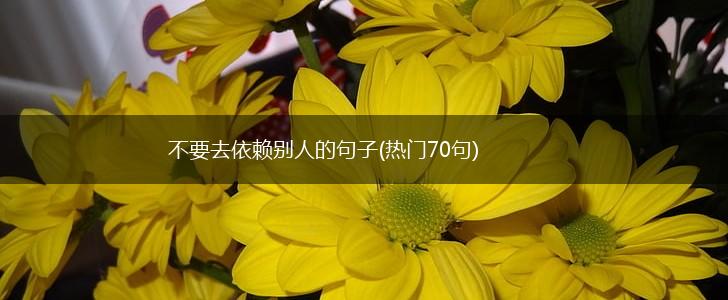 不要去依赖别人的句子(热门70句),第1张