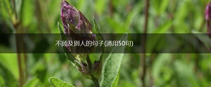 不顾及别人的句子(通用50句),第1张