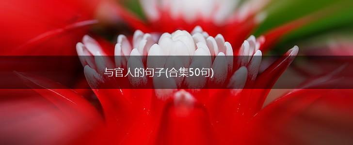 与官人的句子(合集50句),第1张