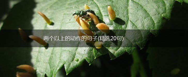 两个以上的动作的句子(精选20句),第1张