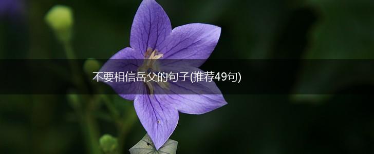 不要相信岳父的句子(推荐49句),第1张