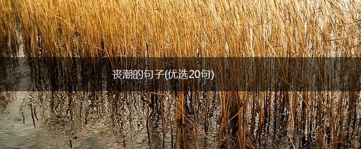 丧潮的句子(优选20句),第1张