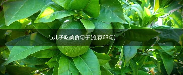 与儿子吃美食句子(推荐63句),第1张