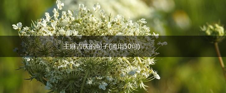主麻吉庆的句子(通用50句),第1张