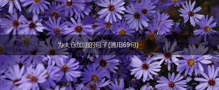 为太仓加油的句子(通用69句),第1张