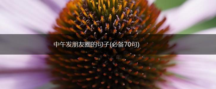 中午发朋友圈的句子(必备70句),第1张