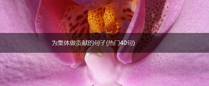 为集体做贡献的句子(热门40句),第1张