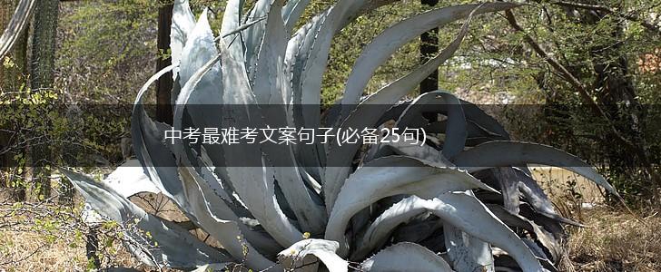 中考最难考文案句子(必备25句),第1张