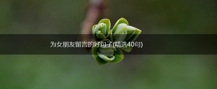 为女朋友留言的好句子(精选40句),第1张