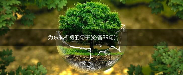 为东航祈祷的句子(必备39句),第1张