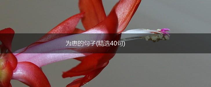 为患的句子(精选40句),第1张