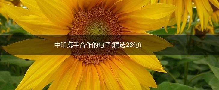 中印携手合作的句子(精选28句),第1张