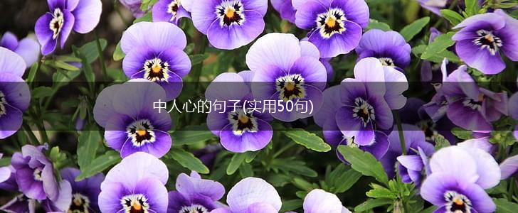中人心的句子(实用50句),第1张