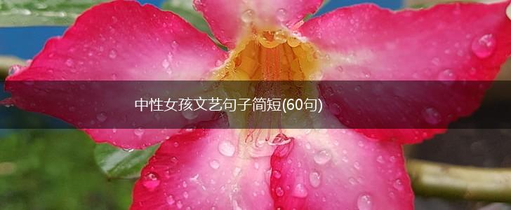 中性女孩文艺句子简短(60句),第1张