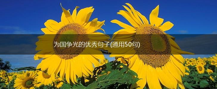 为国争光的优秀句子(通用50句),第1张