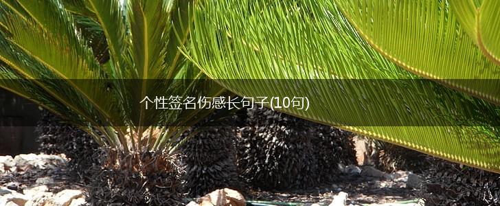 个性签名伤感长句子(10句),第1张