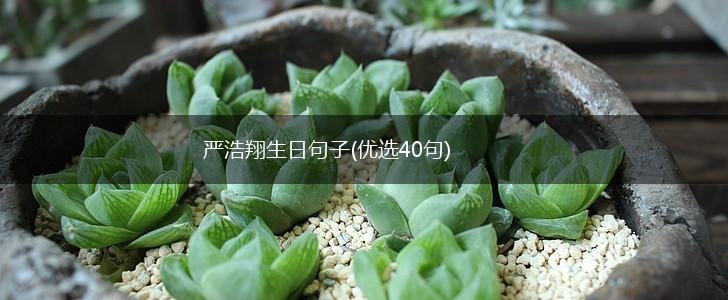 严浩翔生日句子(优选40句),第1张