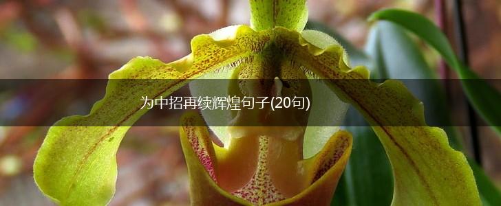 为中招再续辉煌句子(20句),第1张