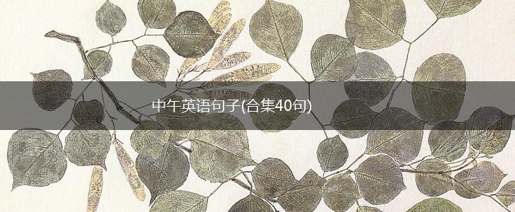 中午英语句子(合集40句),第1张