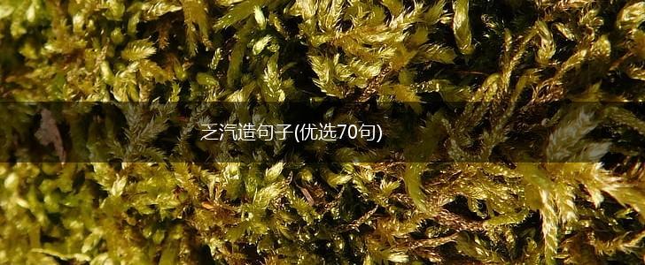 乏汽造句子(优选70句),第1张