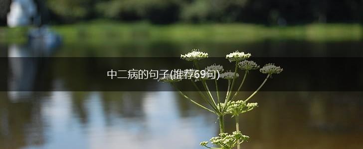 中二病的句子(推荐69句),第1张
