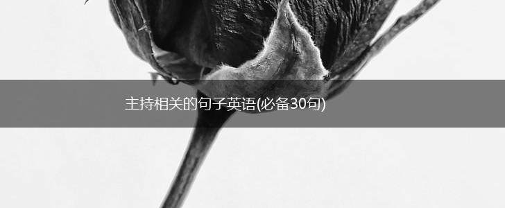 主持相关的句子英语(必备30句),第1张