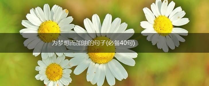 为梦想而加油的句子(必备40句),第1张