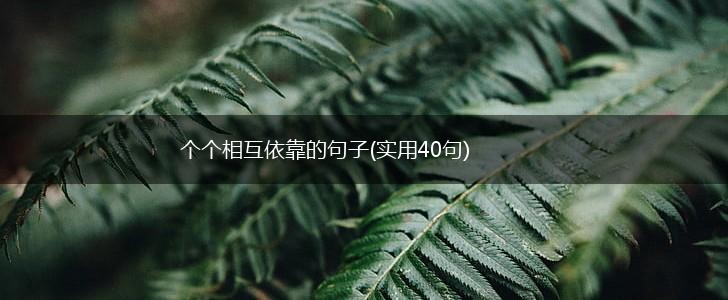个个相互依靠的句子(实用40句),第1张