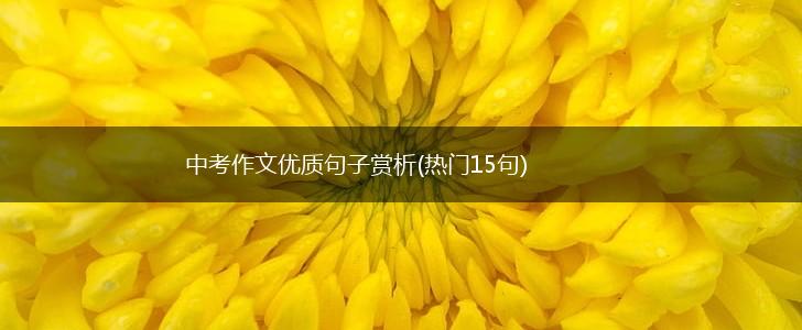 中考作文优质句子赏析(热门15句),第1张