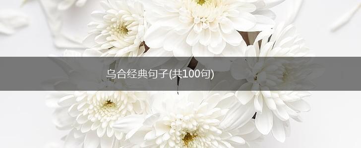 乌合经典句子(共100句),第1张