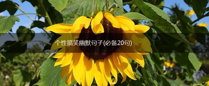 个性搞笑幽默句子(必备20句),第1张