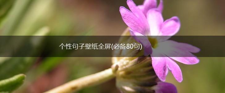 个性句子壁纸全屏(必备80句),第1张