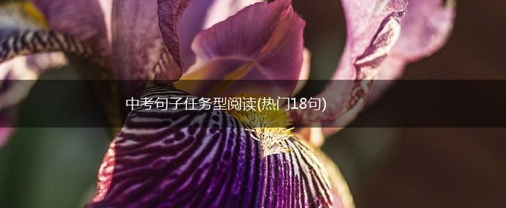 中考句子任务型阅读(热门18句),第1张