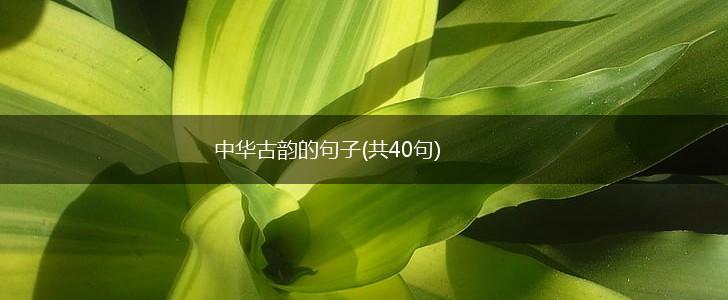 中华古韵的句子(共40句),第1张