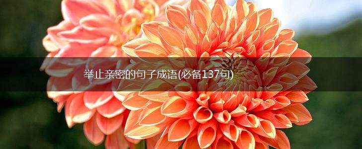 举止亲密的句子成语(必备137句),第1张