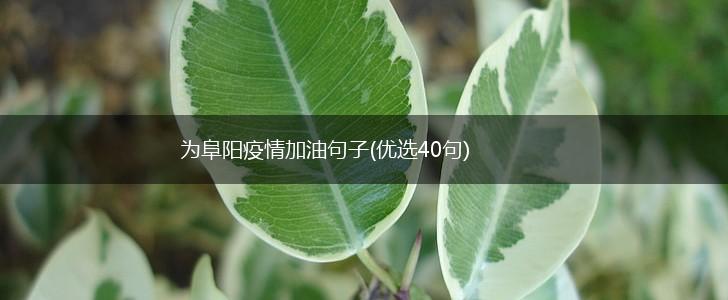 为阜阳疫情加油句子(优选40句),第1张