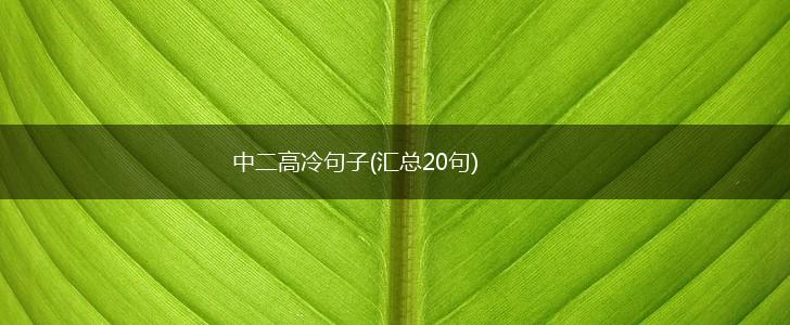 中二高冷句子(汇总20句),第1张