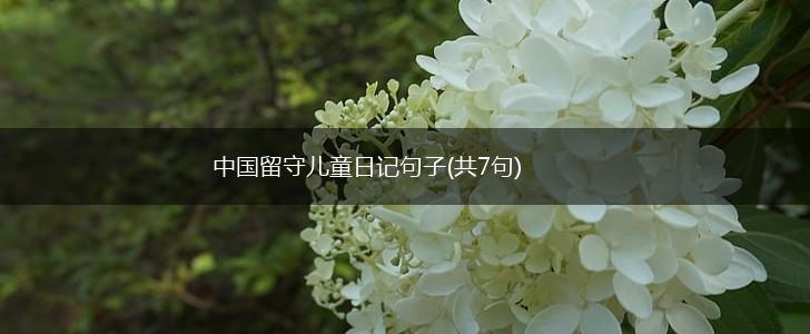 中国留守儿童日记句子(共7句),第1张