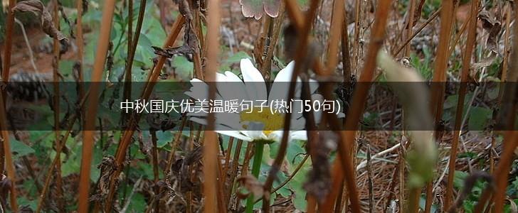 中秋国庆优美温暖句子(热门50句),第1张